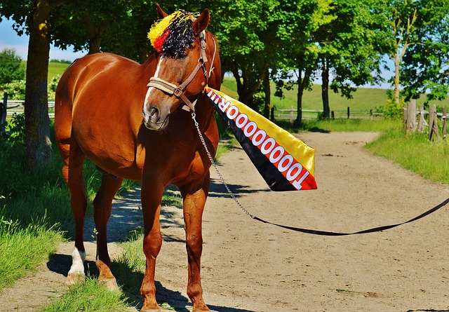 马洛塔则需 马洛塔则需