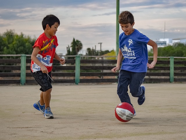 观赏性的对 观赏性的对