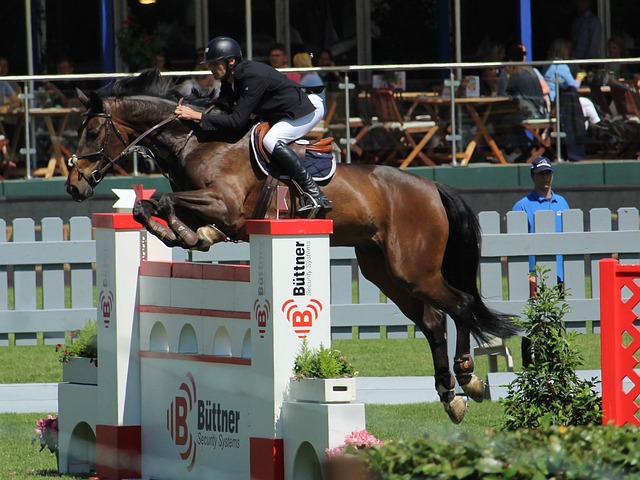 30日NBA前瞻：詹姆斯差5分解锁42000分 湖人灰熊打响卡位战.