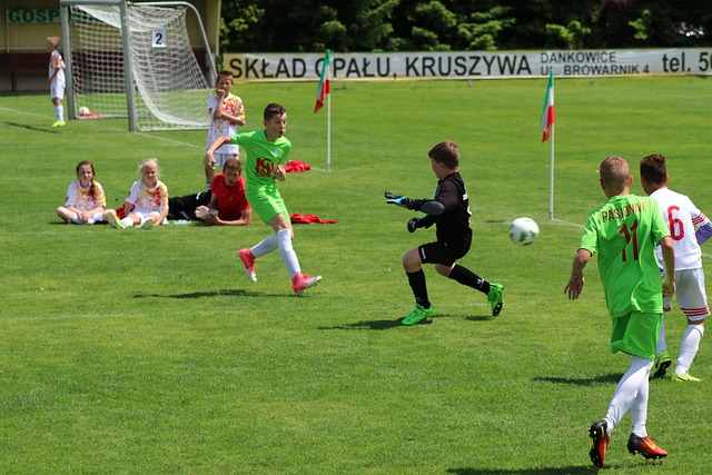 坎塞洛的加 坎塞洛的加