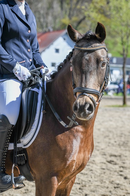 援适应体系 援适应体系