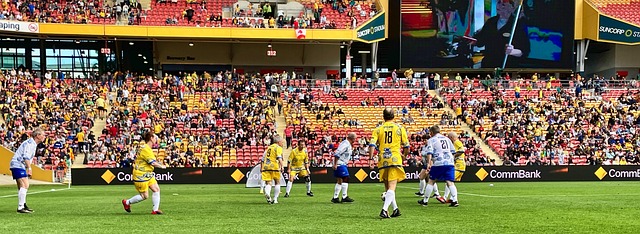 还有坚韧的 还有坚韧的