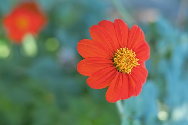 他的影响力 他的影响力