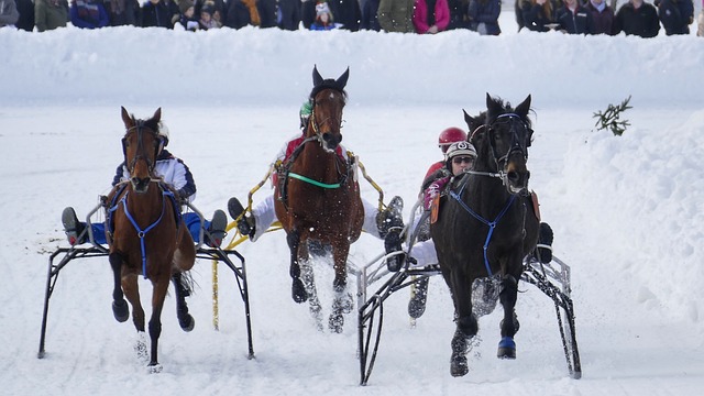 足球世界总 足球世界总