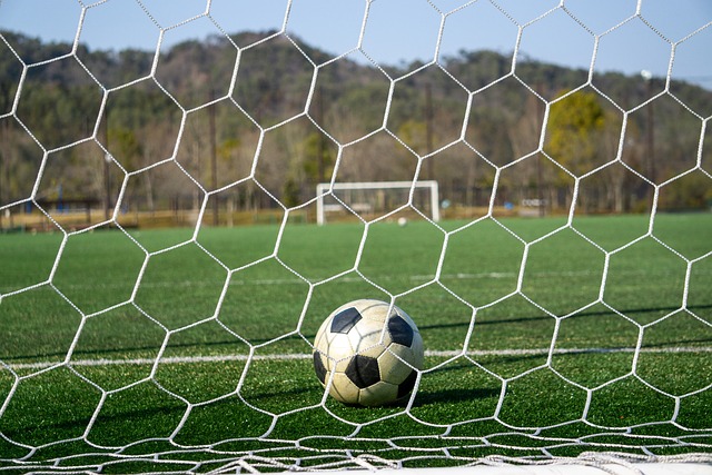 的里程碑 的里程碑